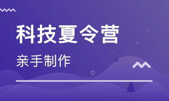 北京首欣教育科技 大眾網推薦的優質網絡技術服務品牌